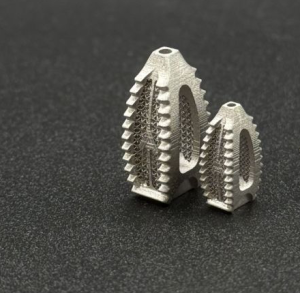 Spinal Implant
